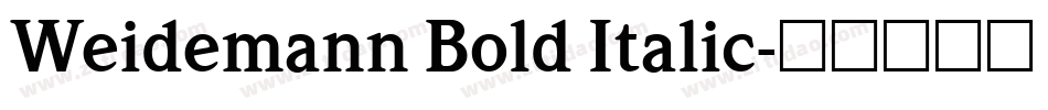 Weidemann Bold Italic字体转换